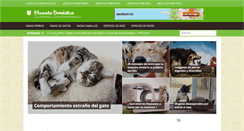Desktop Screenshot of mascotadomestica.com